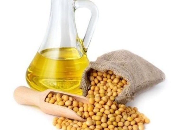 Soybean Oil