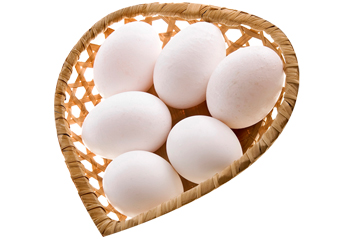 Chicken Eggs