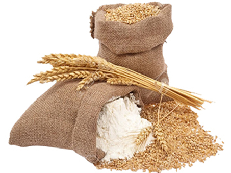 Wheat Flour